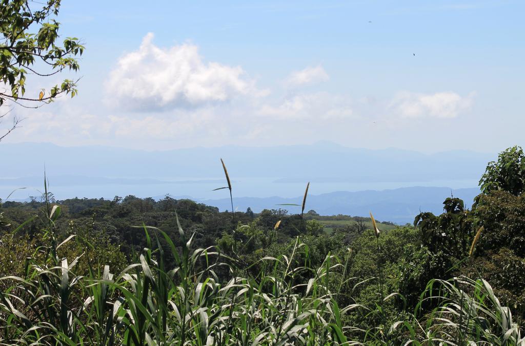 Casa Canitas Monteverde Exteriör bild