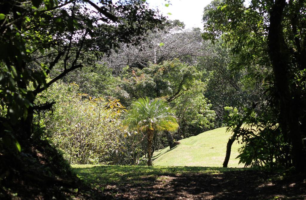 Casa Canitas Monteverde Exteriör bild